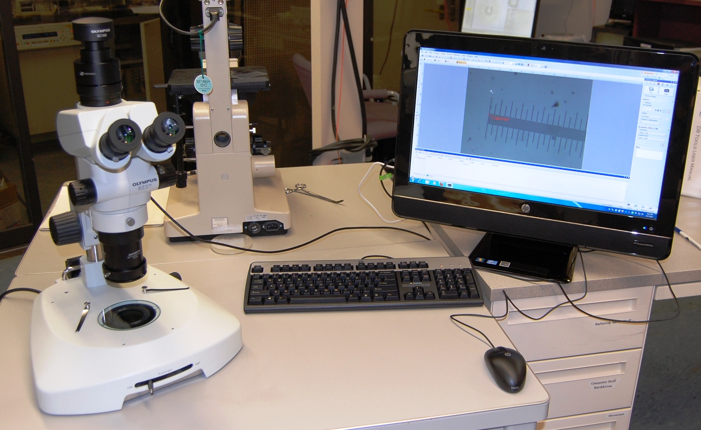 Light Microscopy Light Microscopy